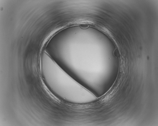 X0000057070795200509090841