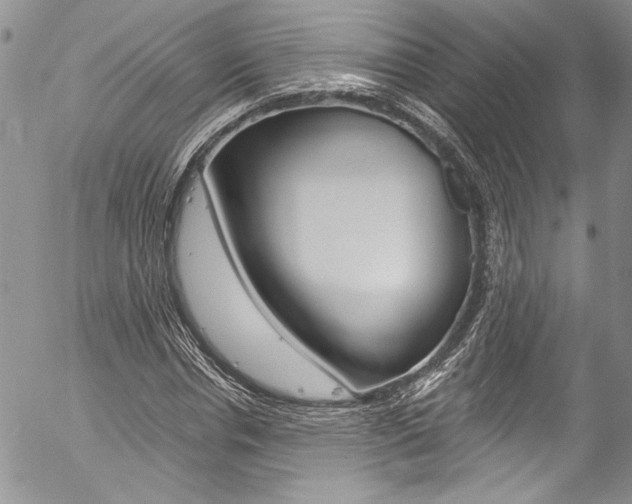 X0000057070826200509090840
