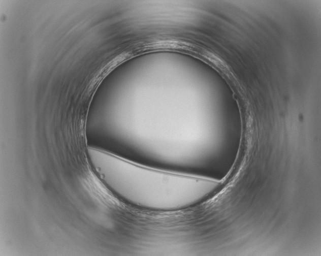 X0000057070849200509090840
