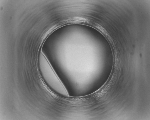 X0000057070850200509090840