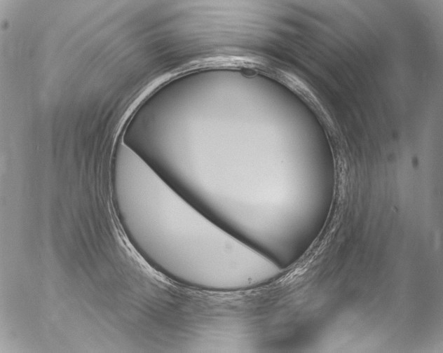 X0000057070852200509090840