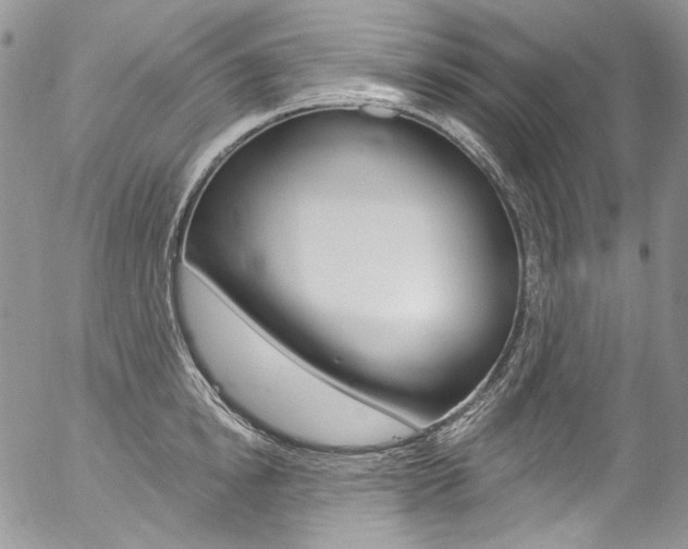 X0000057070854200509090840