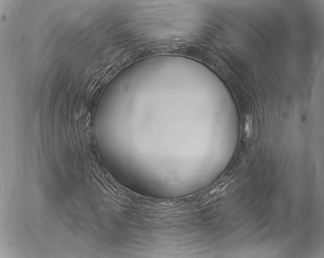 X0000057070867200509090840