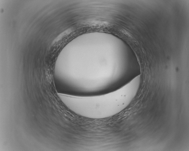 X0000057070869200509090840