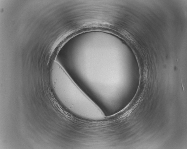 X0000057070877200509090840