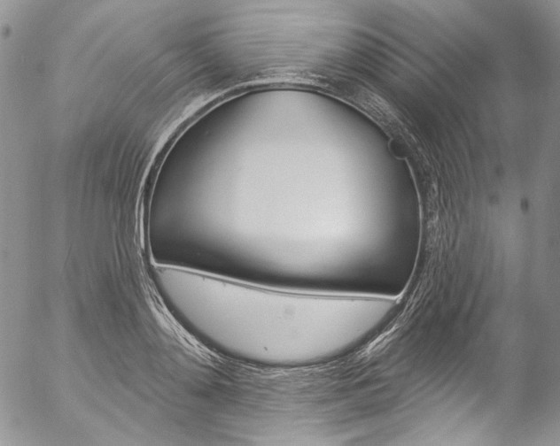 X0000057070892200509090839