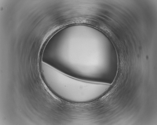 X0000057070894200509090839