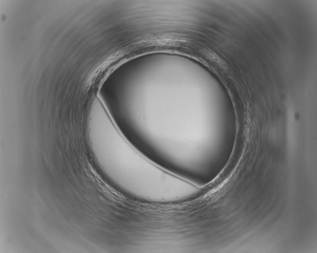 X0000057070922200509090838