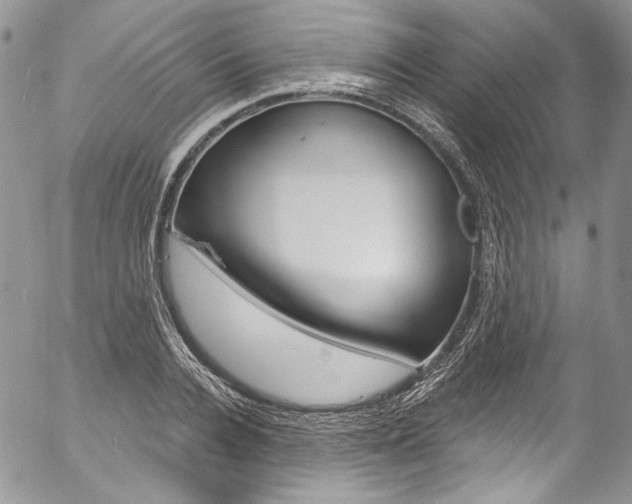 X0000057070936200509090839