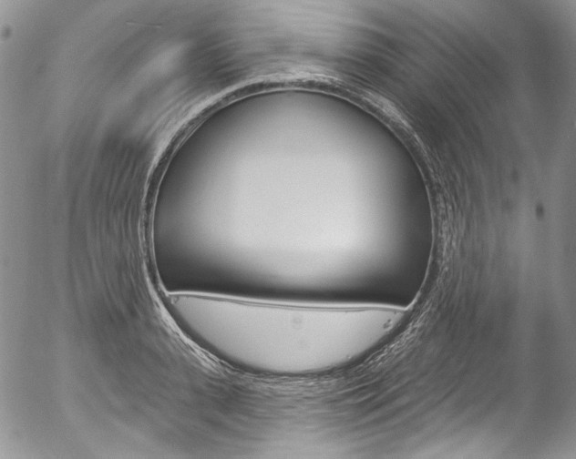 X0000057070943200509090839