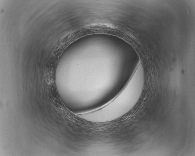 X0000057070965200509090838