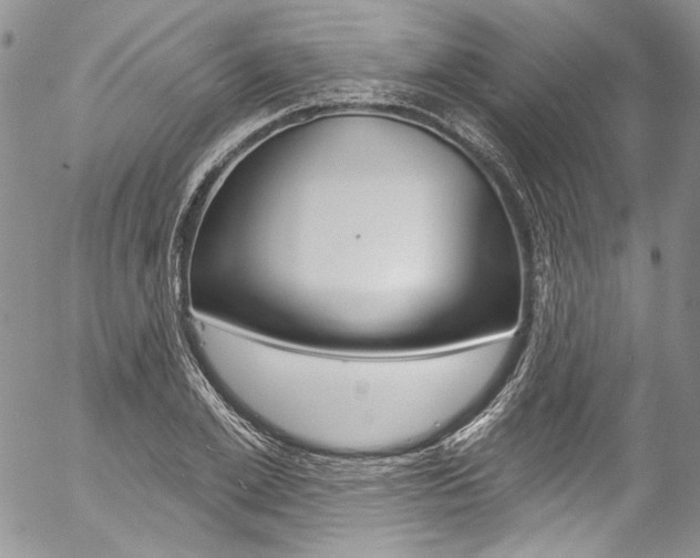 X0000057070981200509090838