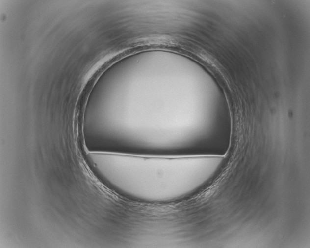 X0000057070983200509090838
