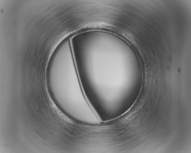 X0000057070984200509090838