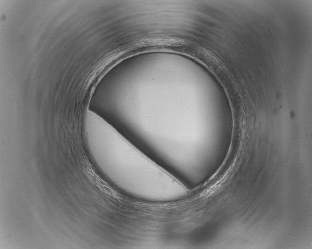 X0000057071025200509090837