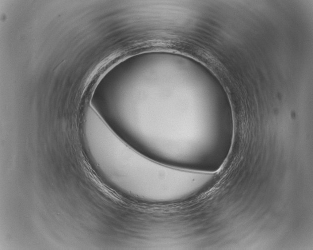 X0000057071026200509090837