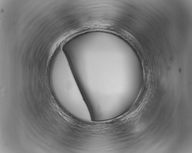 X0000057071027200509090837