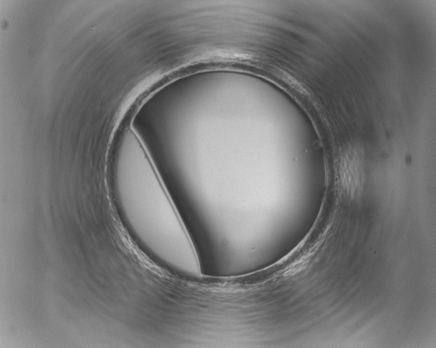 X0000057071029200509090837