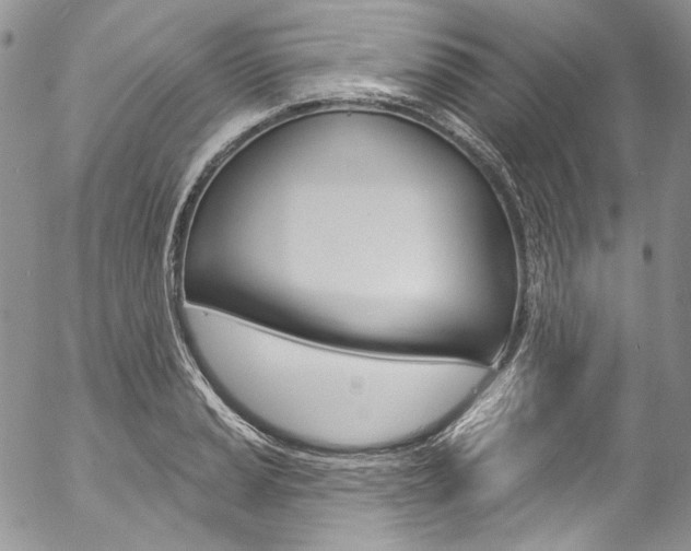 X0000057071037200509090837