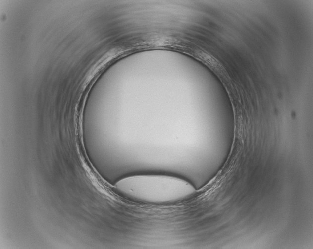 X0000057071039200509090837