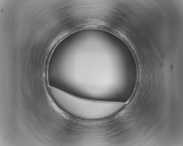 X0000057071042200509090837