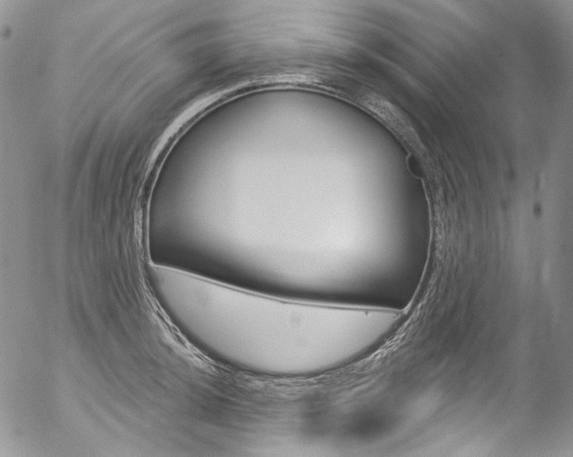 X0000057071044200509090837