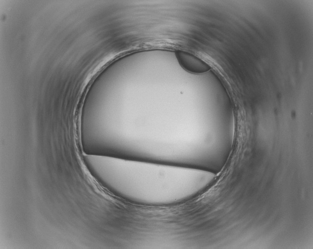 X0000057071047200509090837