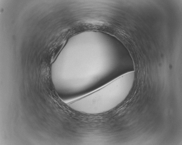 X0000057071061200509090836