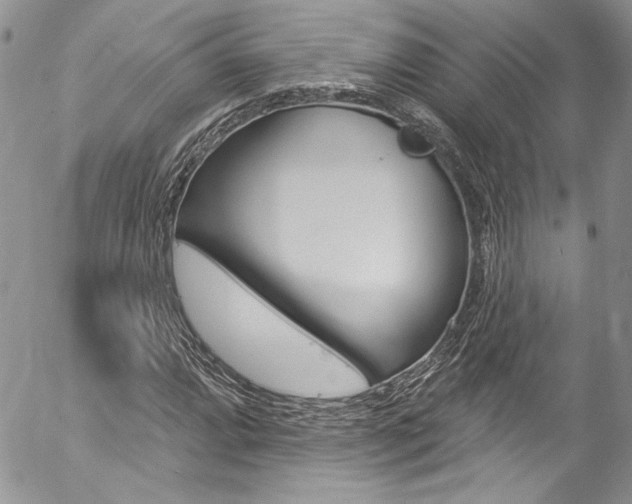 X0000057071064200509090836
