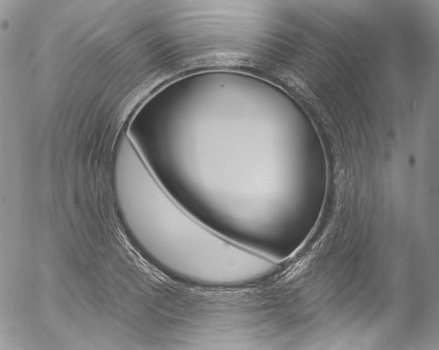 X0000057071081200509090836