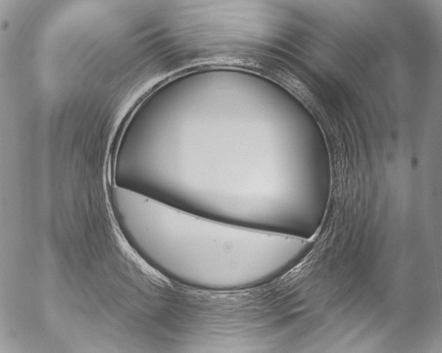 X0000057071084200509090836