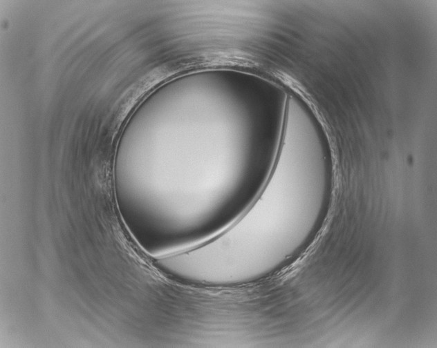 X0000057071089200509090836