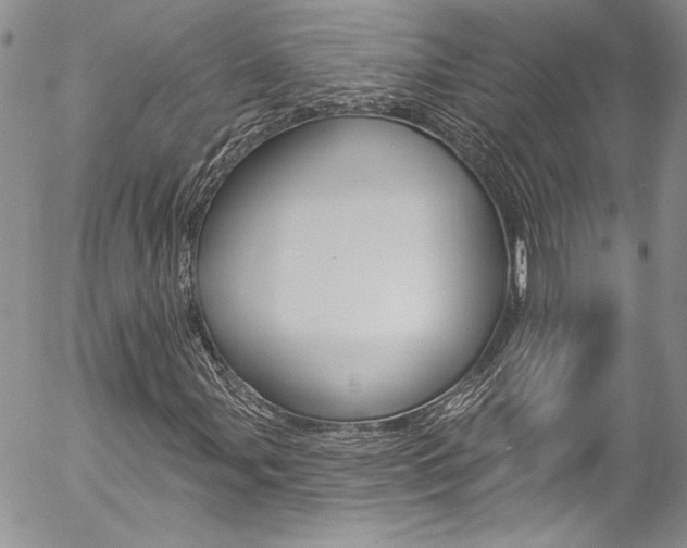 X0000057071107200509090835