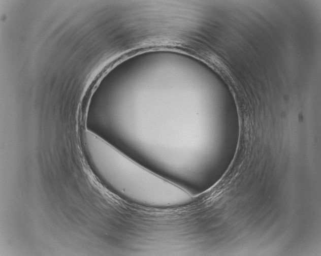 X0000057071124200509090835