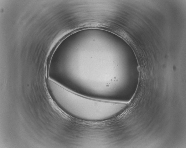 X0000057071132200509090835