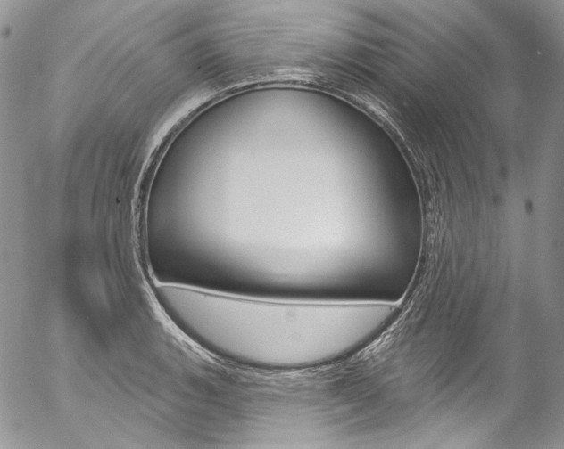 X0000057071135200509090836