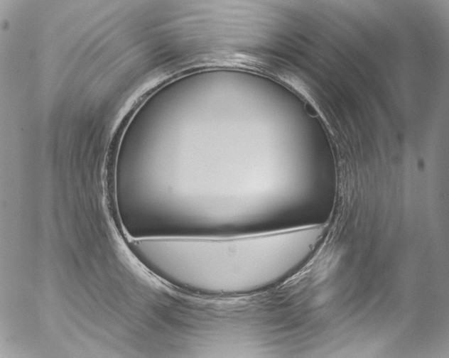 X0000057071139200509090836