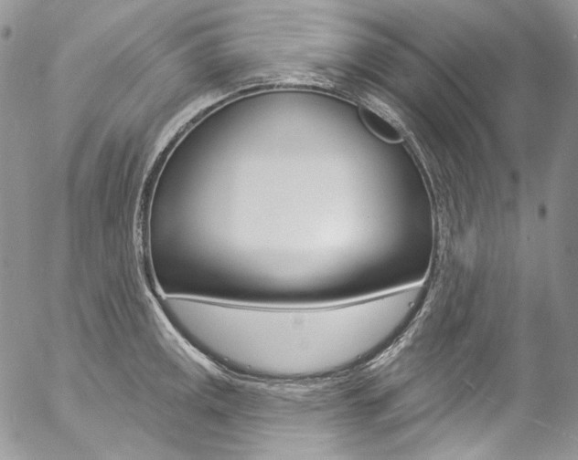 X0000057071141200509090836