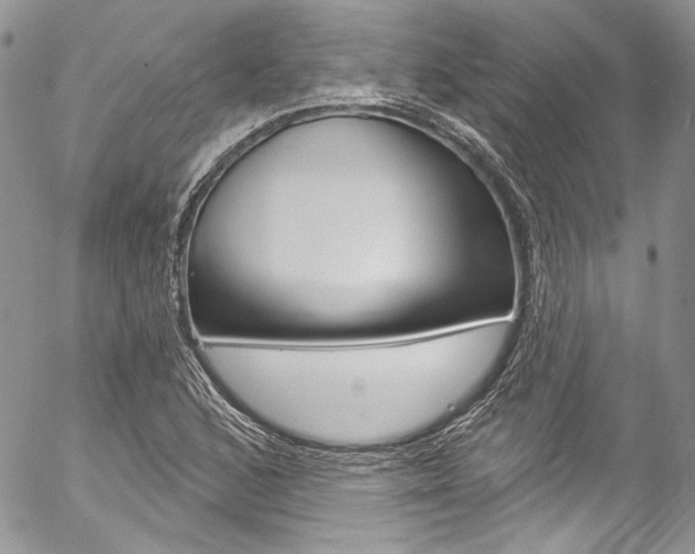 X0000057071168200509090835