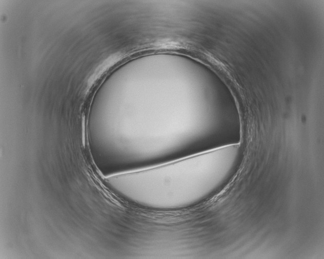 X0000057071171200509090835