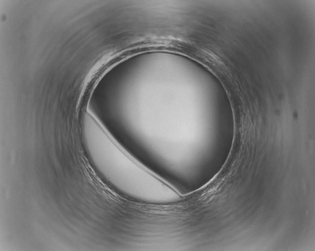 X0000057071172200509090835
