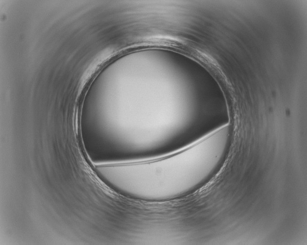 X0000057071180200509090835