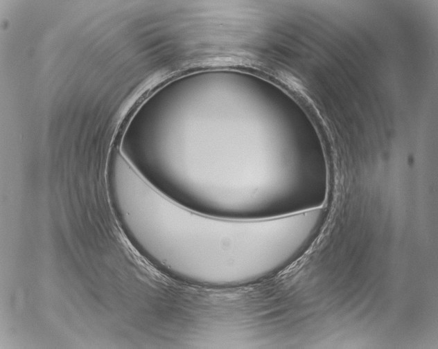 X0000057071181200509090835