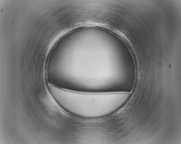 X0000057071183200509090835