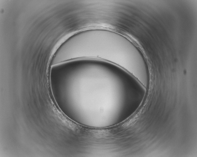 X0000057071192200509090834