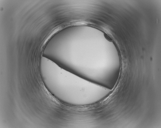 X0000057071194200509090834