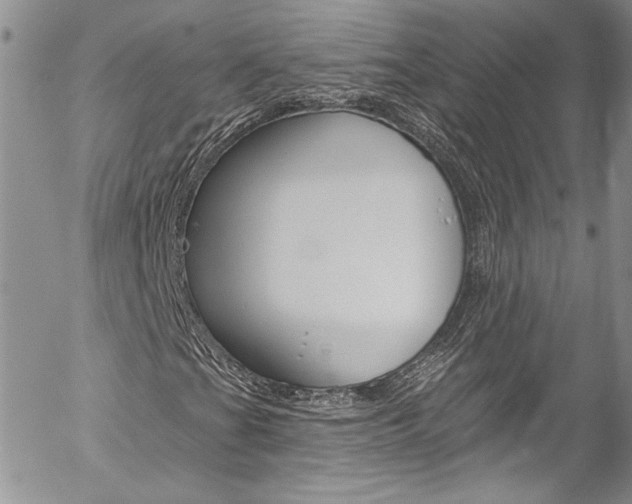 X0000057071201200509090833