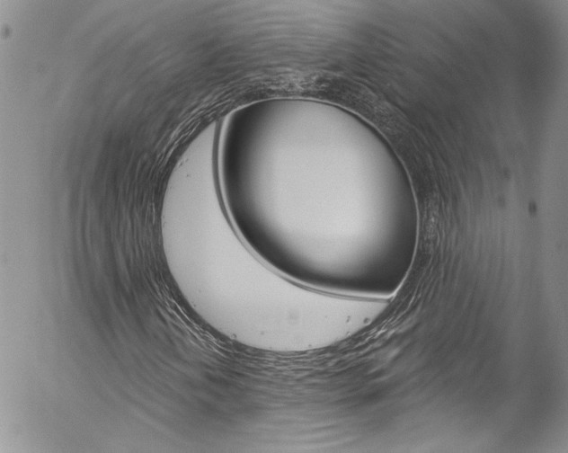X0000057071202200509090833
