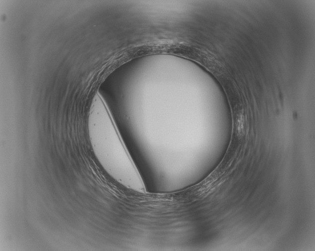 X0000057071204200509090833