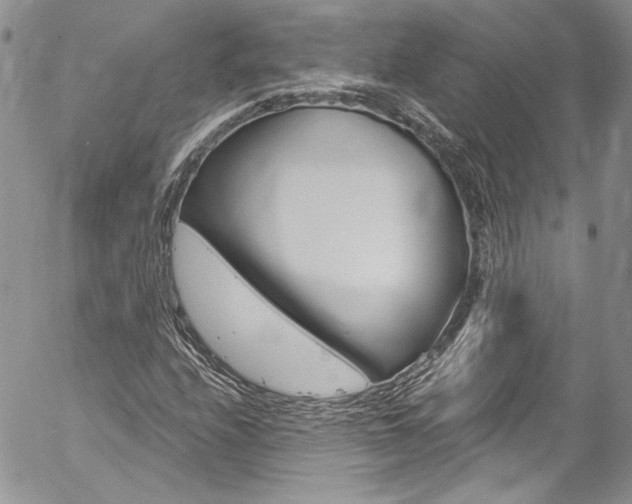 X0000057071208200509090834